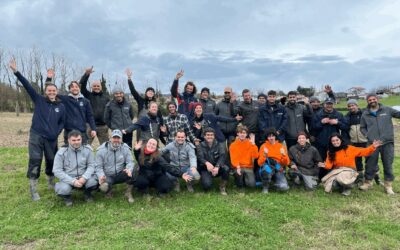 Nous avons planté plus de 500 arbres